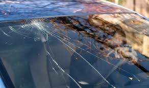 Manutenção de Vidros Automotivos